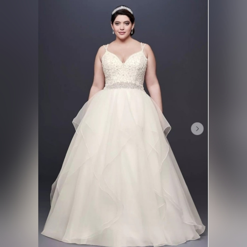 Garza Ball Gown Wedding Dress with Double Straps and Veil - David's Bridal NWOT